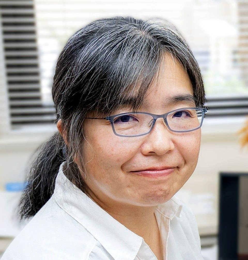 岸本 直子 教授